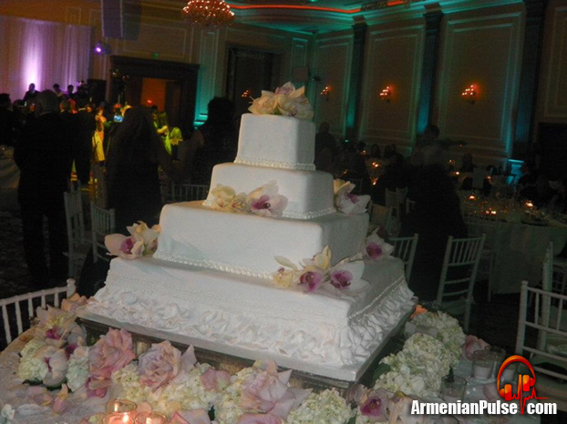 Andy & Shani Wedding Pictures The Cake